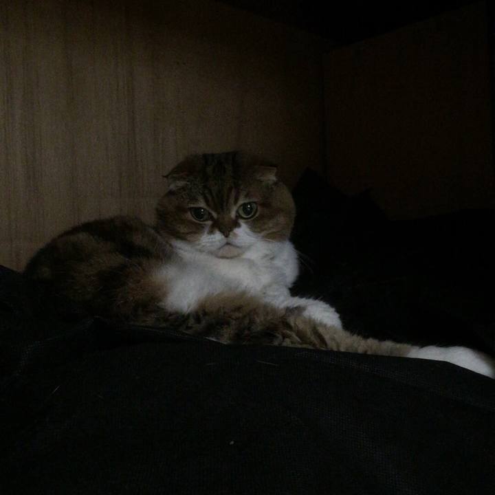 7bfd2110 3433 44ee b769 a1cea9f7c422