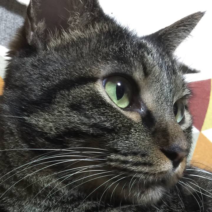 7bfd4d0b 6065 4920 af11 2f64adfb59df