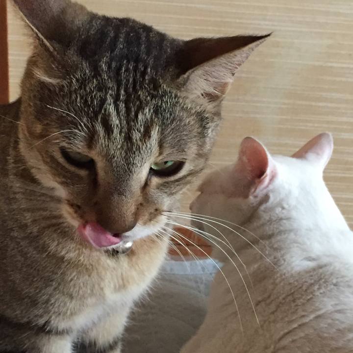 7bfd7360 f988 421d ab5d a2d8cc04bfef