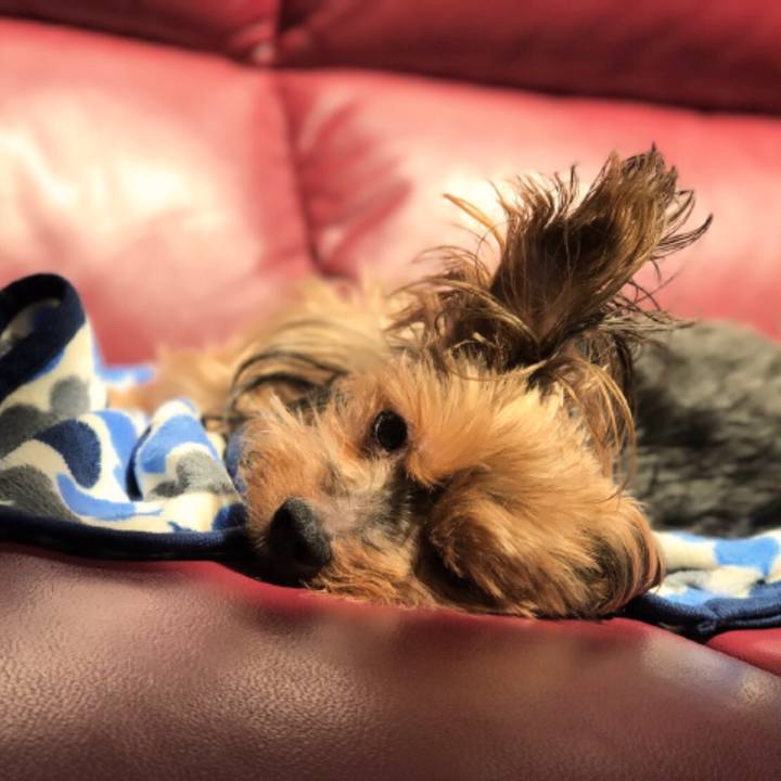 7bfe1029 e314 4c45 8947 e01d967f3997