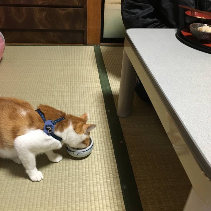 7bfe7dd2 013d 407e bea3 60402fd3e366