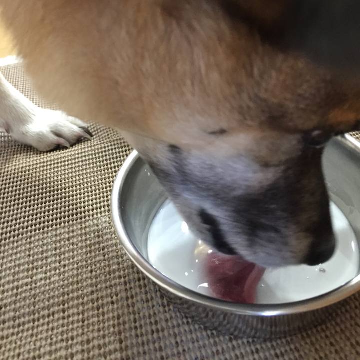 7bfe9272 11da 4729 9c11 8dd01071eea8