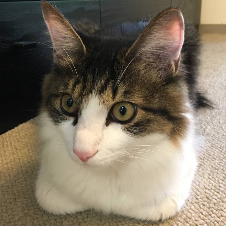 7bffe765 09fb 4971 baf8 166cf2cd0321