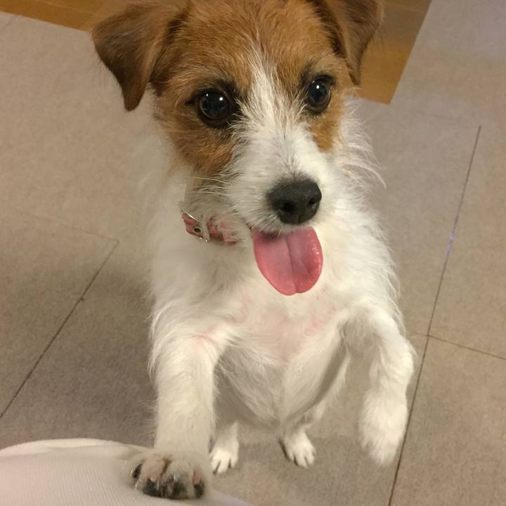 7c0080c3 b84b 4e41 b3bb 9266f43862f3