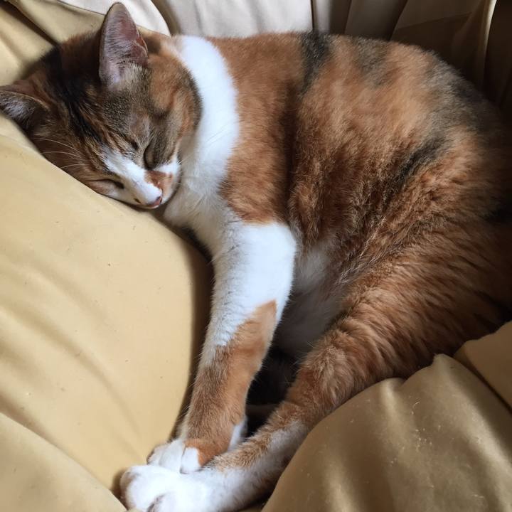 7c009180 7944 45ff 9d0d fc98d7f07e4d