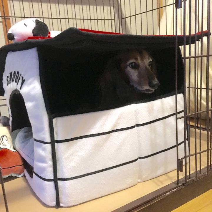 7c00fbad 977c 45ac 891a d78a308ceab8