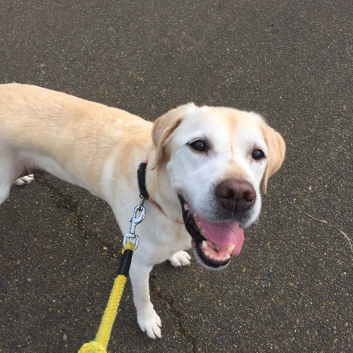 7c013f7b ca7f 45e5 b8b0 ee69173ce920