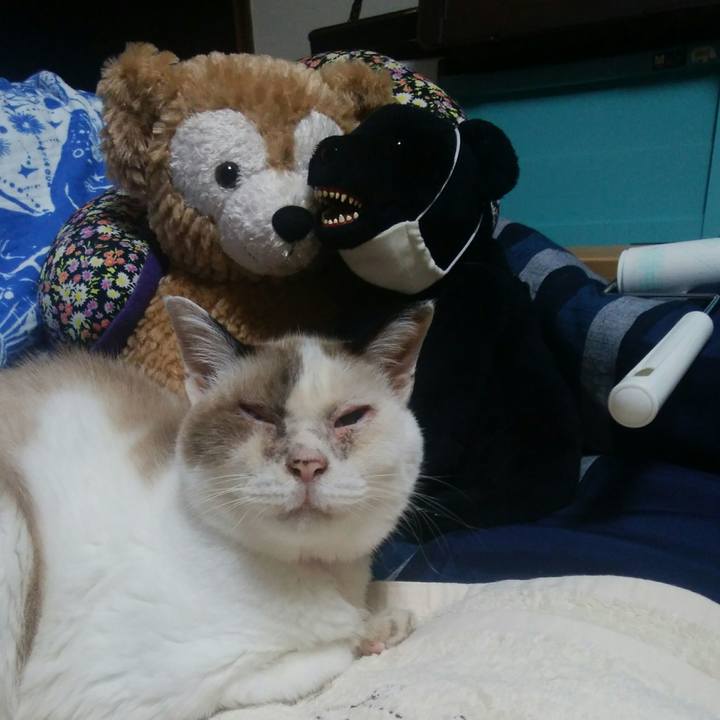 7c01456d 5406 47a2 9151 28a2f4db31ce