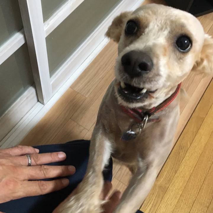 7c01d00a fb98 4961 ab72 f5b4b22f4eb2