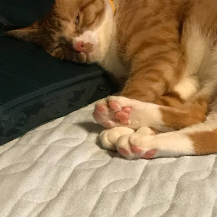 7c01da11 12f9 4ed3 8311 0fcc51b12781