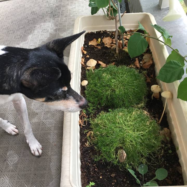 7c02239b 7cf5 4cb6 a9a8 3772fe782fd1