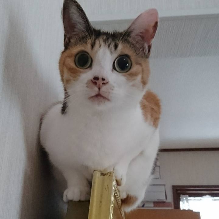 7c02e1c2 f3a9 46be 84a8 131bc79c6458