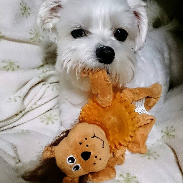 7c0325ca f824 4758 aad2 11b5f1b836c0