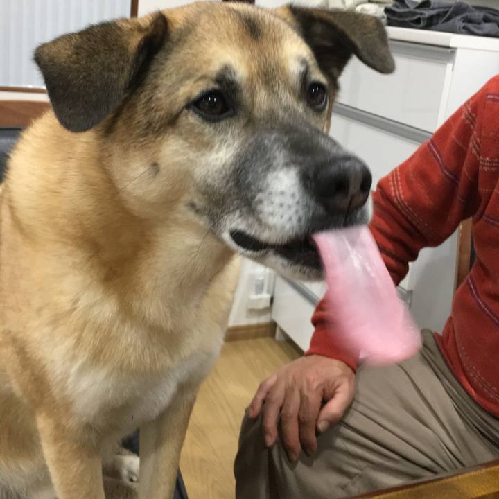 7c035d66 9a97 4d03 874b 327d5a45cd1a