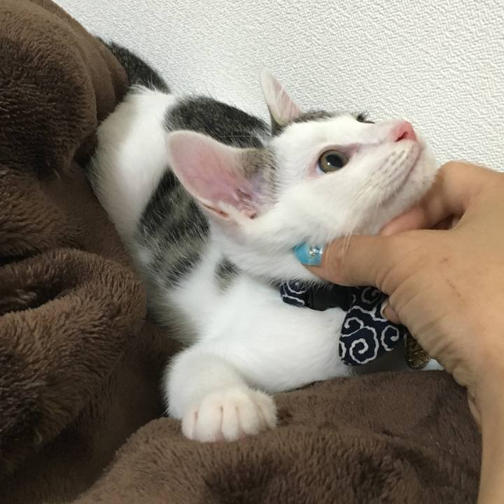 7c0369a8 5c1a 4c67 b2a5 7480dd383090