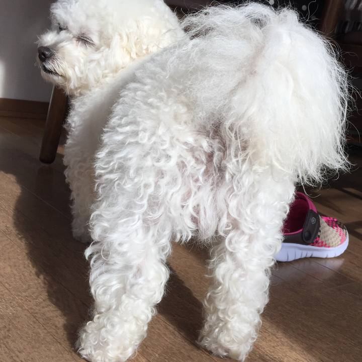 7c04bea3 d336 4053 9856 fd9237932e7a