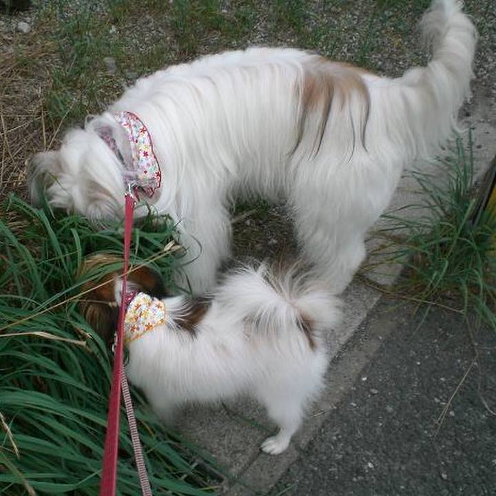 7c053dc2 20cb 4858 8f28 b0047a4a4011