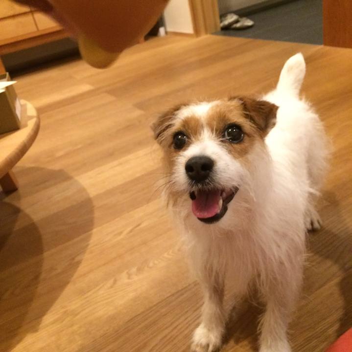 7c05a7bd a935 498c 9c8e 44a13f968dca