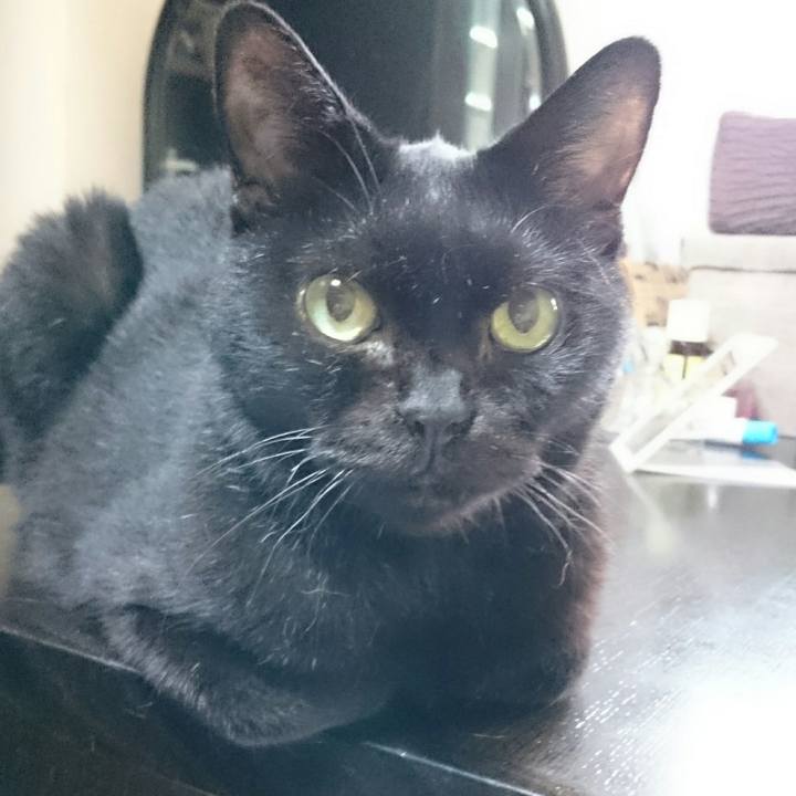 7c05b841 fb2a 43db 8876 50c961f4fc9b