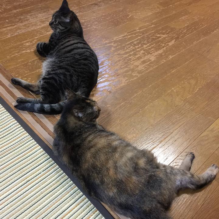 7c05efe3 b7d0 43b1 9bdc 01418a12e2d1