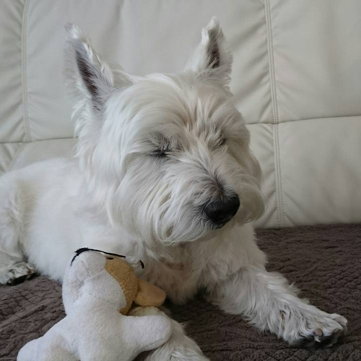 7c065678 d57c 4dc7 bc80 18016053a677