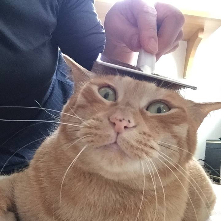 7c069831 cd0c 43c1 b9be 89ea513678a6