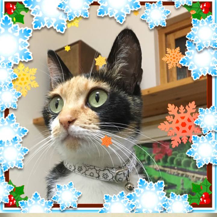 7c06af1f 1d37 4068 bea2 95e75acc34d0