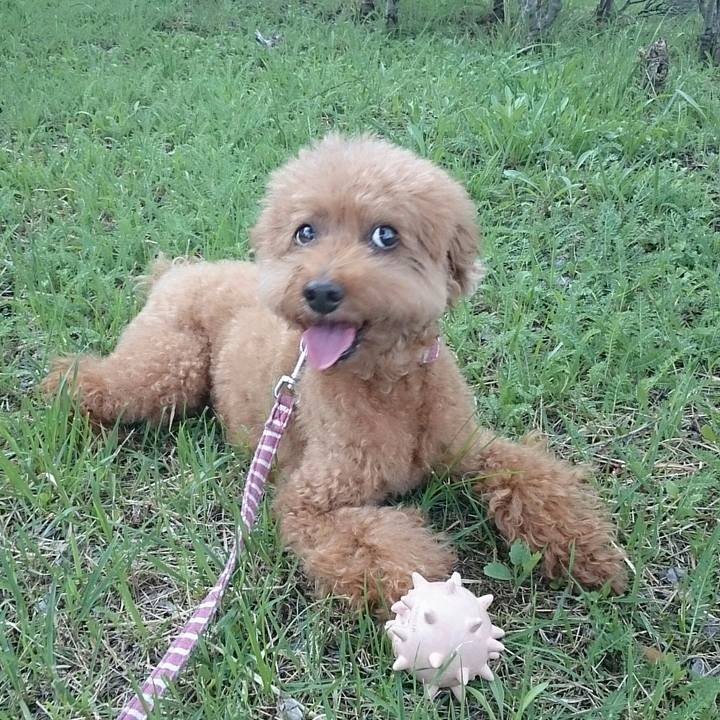 7c06e559 eed7 4532 af61 0aec87a7c43d