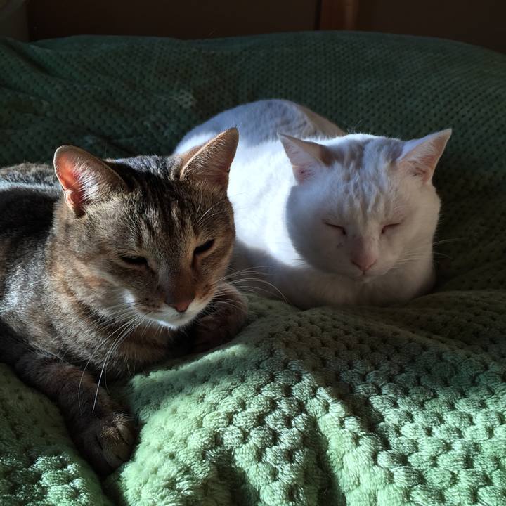 7c06fdc6 ce44 4520 b85a f1b74f378e21