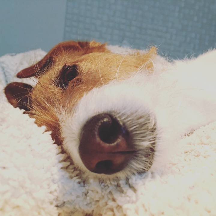 7c071386 cb6e 4172 a764 751e1f7cca3b