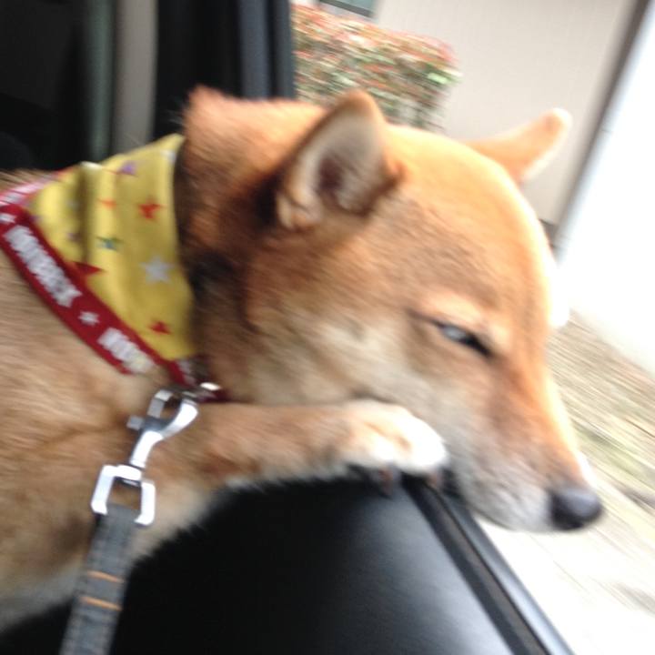 7c07650b e339 4066 a16d dc932d003f6b