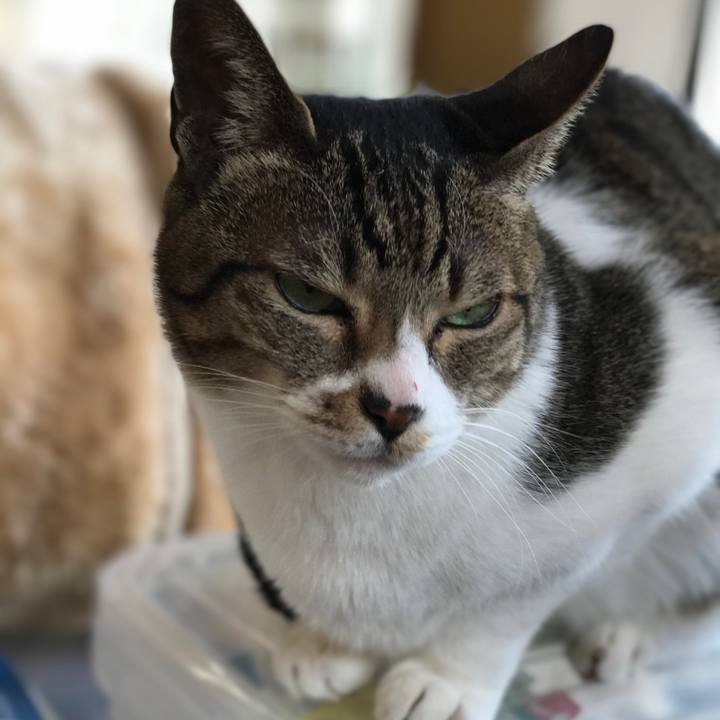 7c079699 c56b 414d b410 9ebef50aa1cd