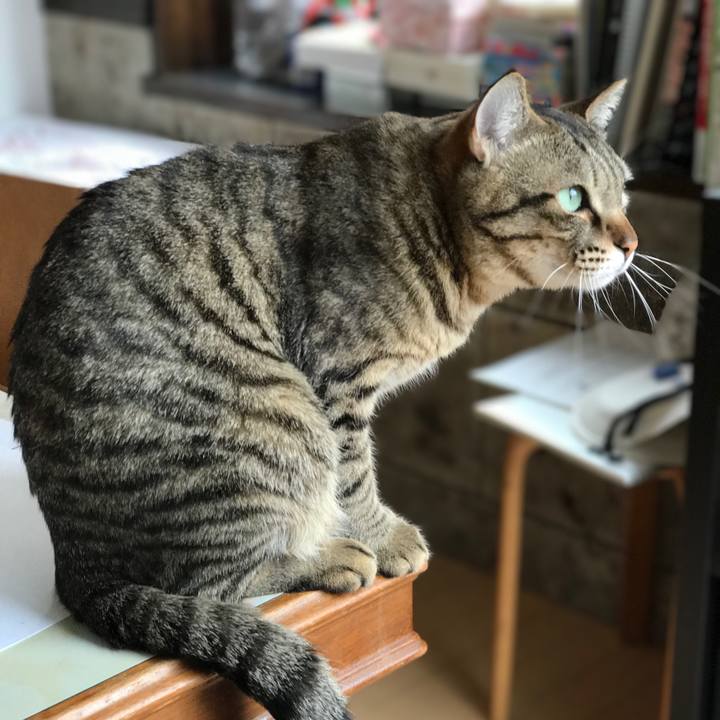 7c07fe5f e3b6 4822 a13f 4354f9e45a89