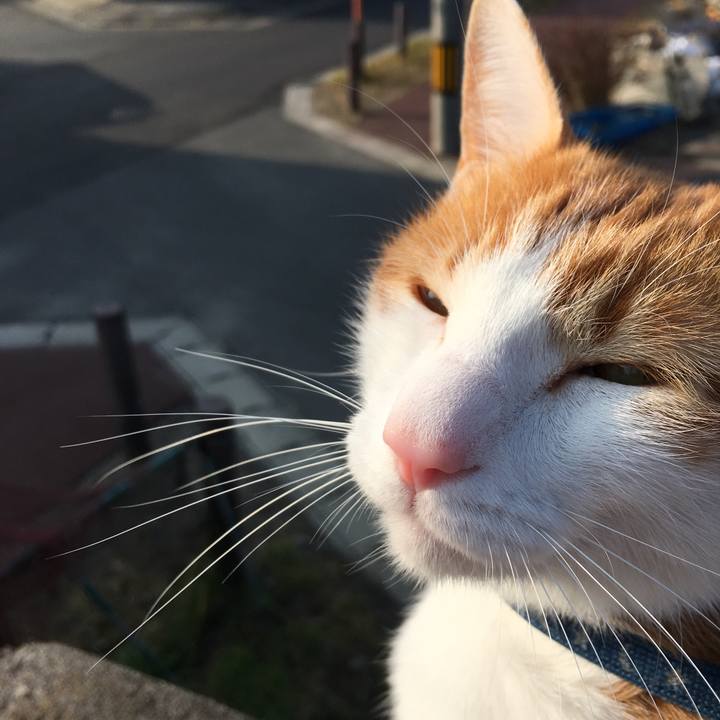 7c087672 1c4e 423b a42b 4e6d8d08937e