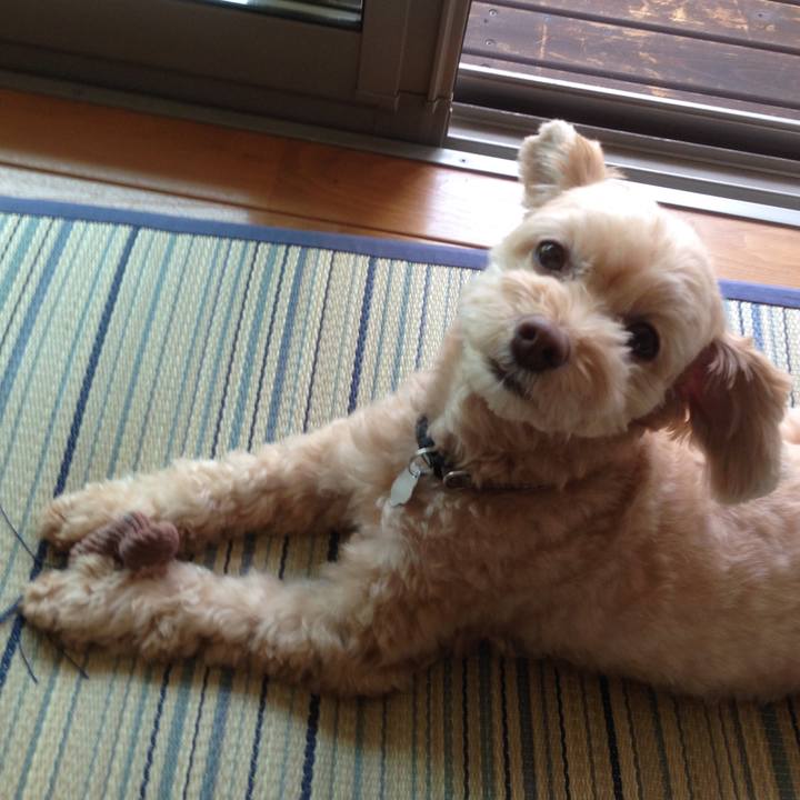 7c08c321 d80e 4d63 bbee c83d231ae95f