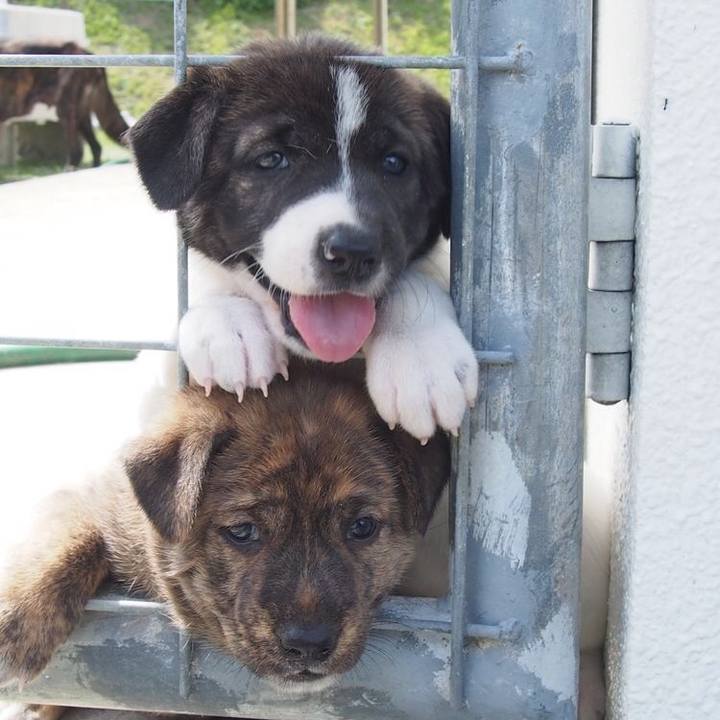 7c0935b1 9308 4404 b4a8 aaea068dd5ce