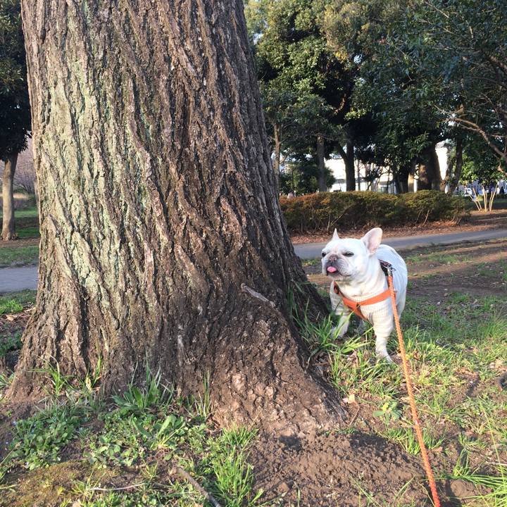 7c0a2aa1 f80f 4270 b0e9 fcca3639af38