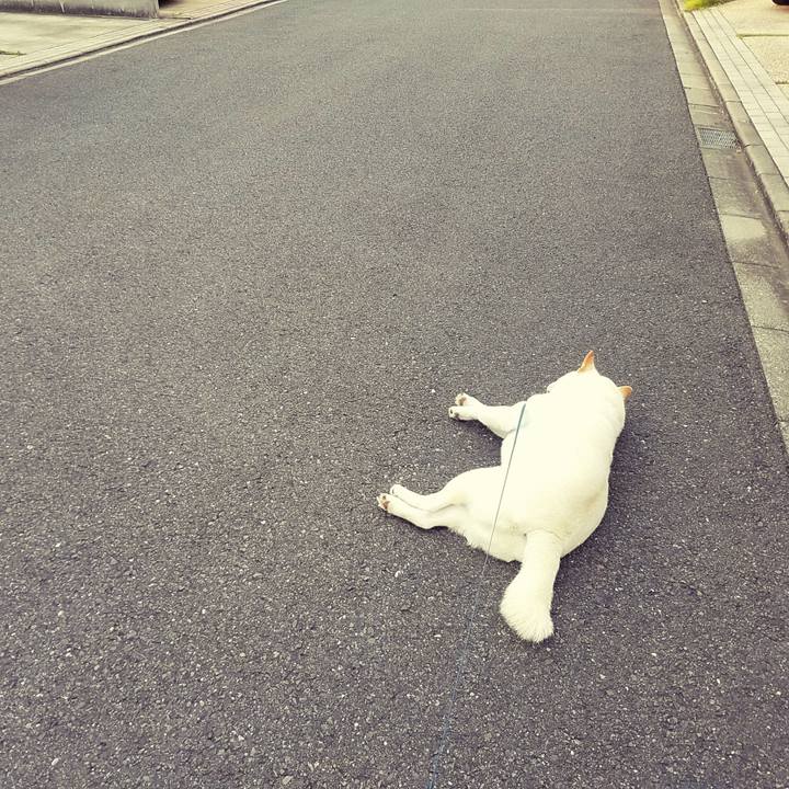 7c0a3360 4063 4072 b273 9d8445245562