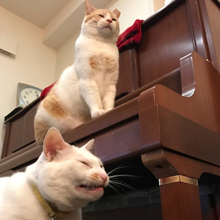 7c0a9f0c b731 4742 9521 21f61f5689ed