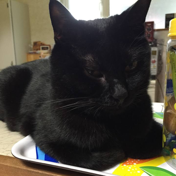 7c0aa2b4 29a0 40e6 9898 ff4e61395848