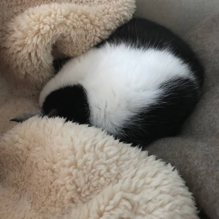 7c0ac739 5751 4ba1 87ef 3ef62550ce66