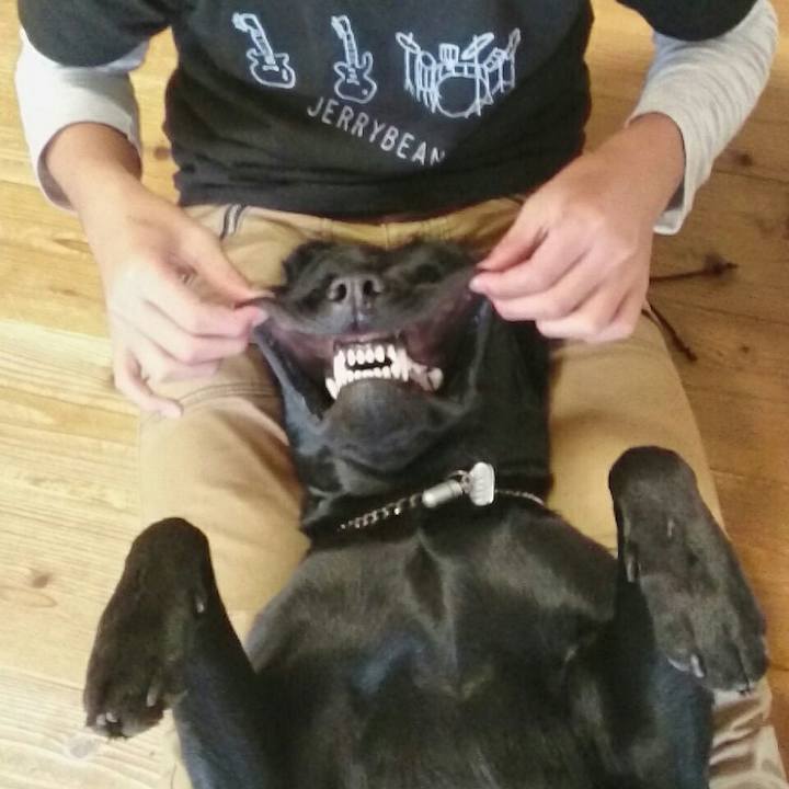 7c0af4c8 88ea 4811 aa7d 045248b82a5f