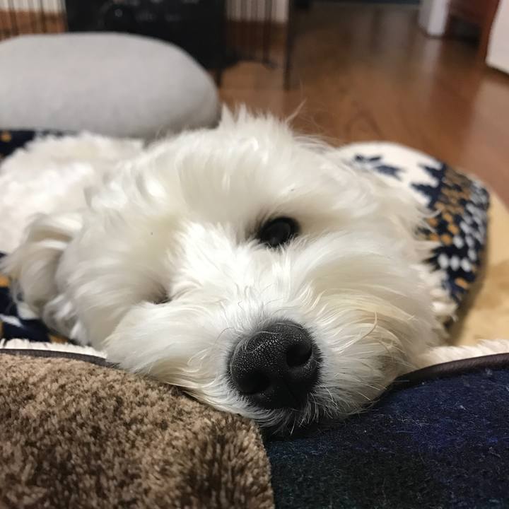 7c0b0666 8ae0 4dba 8006 448aa4f166d4