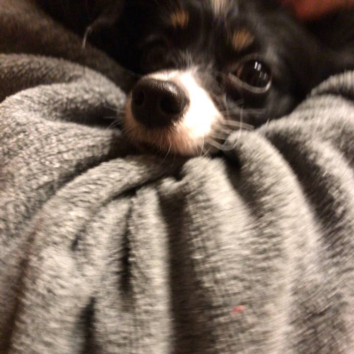 7c0bdf0c 95fa 42e9 87de b6507e50abc9