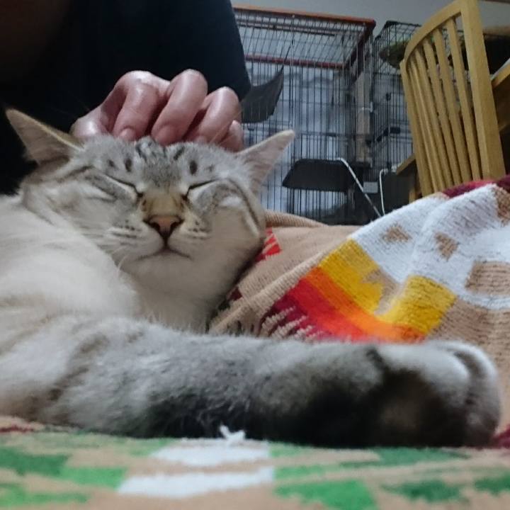 7c0bfc1a c9bb 448f 9e85 14ef51e9ea4b