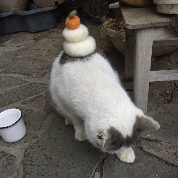 7c0c635e e0fe 485f 9003 b2263d6e6f37