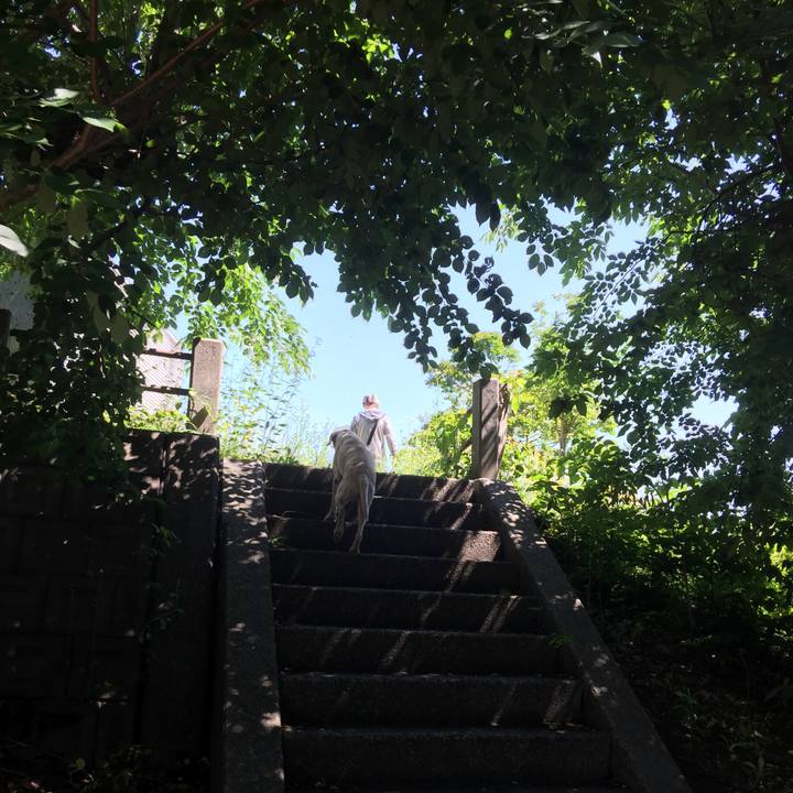 7c0c9a40 fb8a 4a17 8caa 1983fa6ad32c