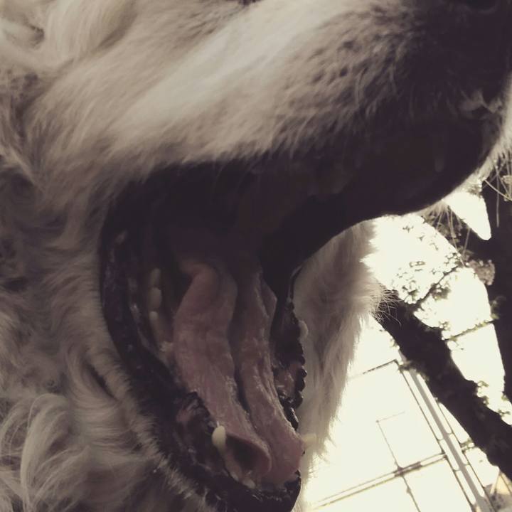 7c0cdcfc 40f9 4f82 80b6 92ce5830cb9f