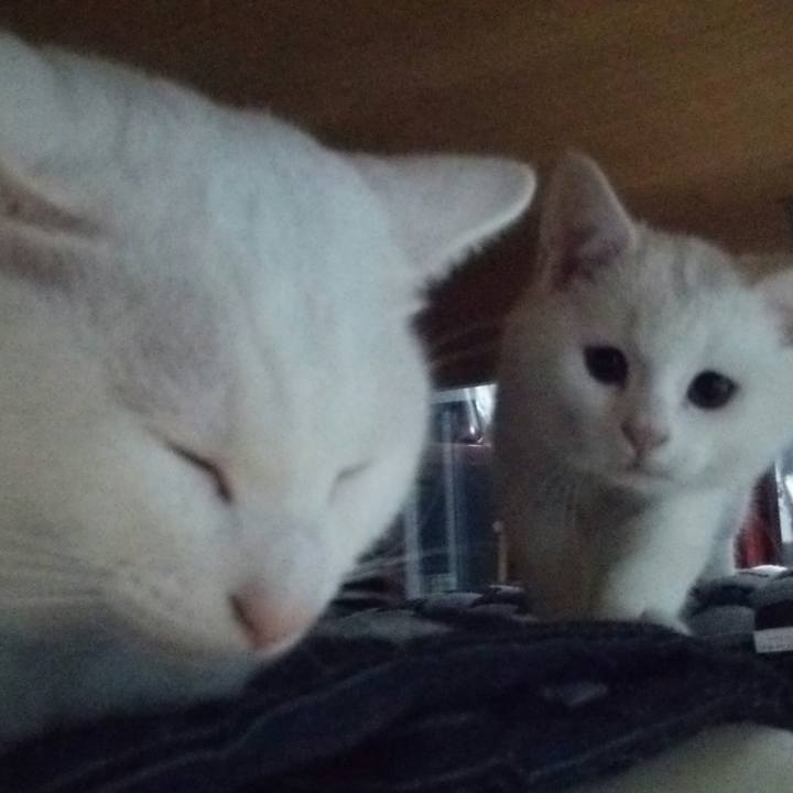 7c0ced04 6e8e 4df5 af48 f39393a82bf2