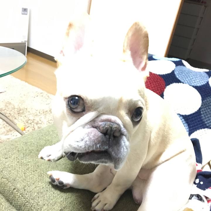 7c0d551a 1fdf 45e6 acf7 601ba2a4030b